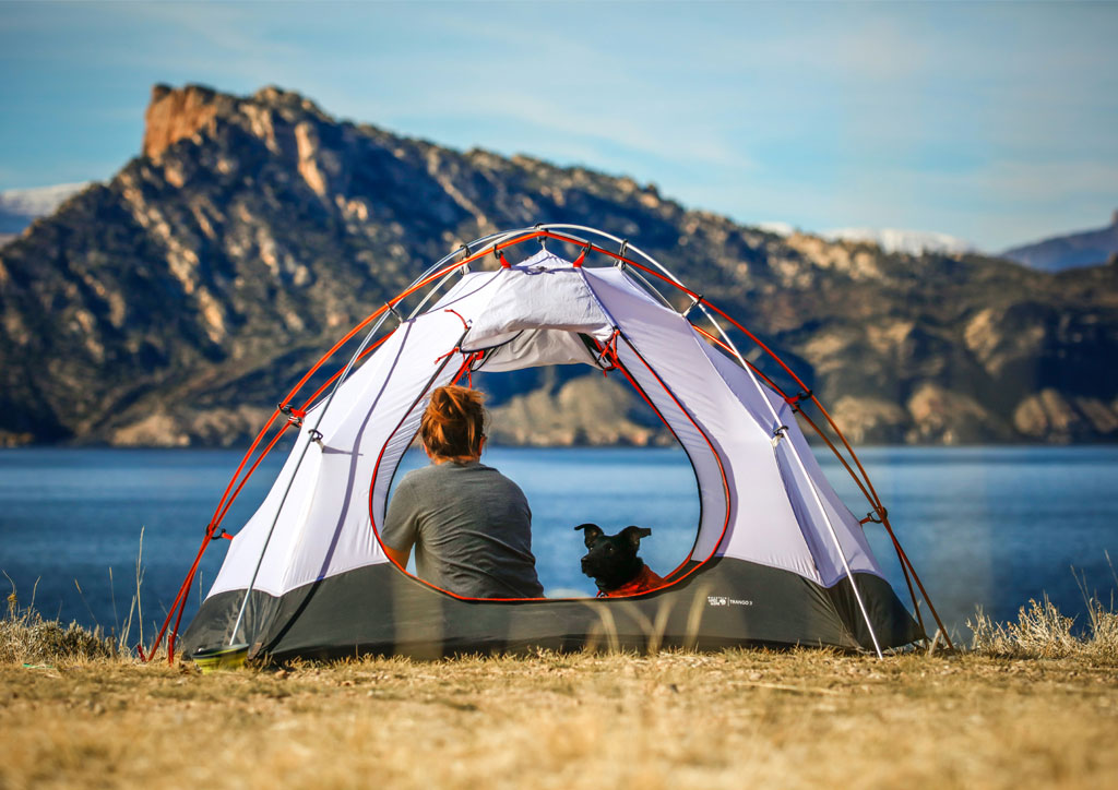 Tipps für die Mitnahme Ihres Hundes beim Camping