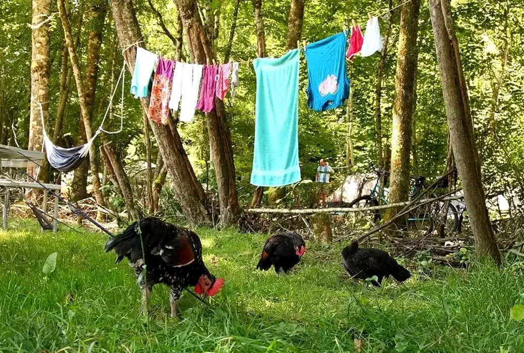 15 tolle französische Bauernhof-Campingplätze