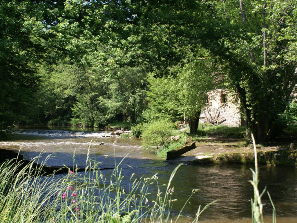 Camping Du Moulin Du Piot 9