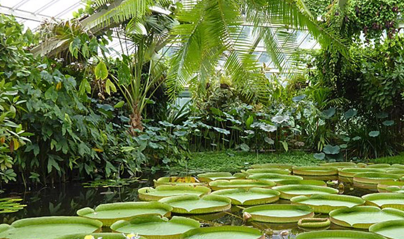 Brabant Be 7 (1) (1) (1)