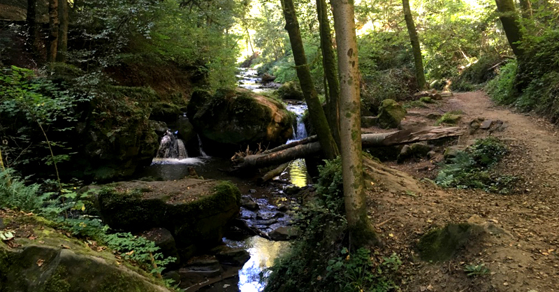 Kamperen Luxemburg 2 (1) (1) (1)