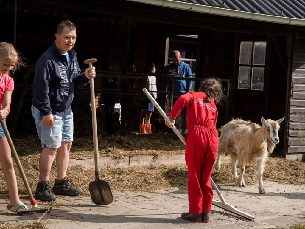 Bauernhof-Campingplatz in Friesland&nbsp;