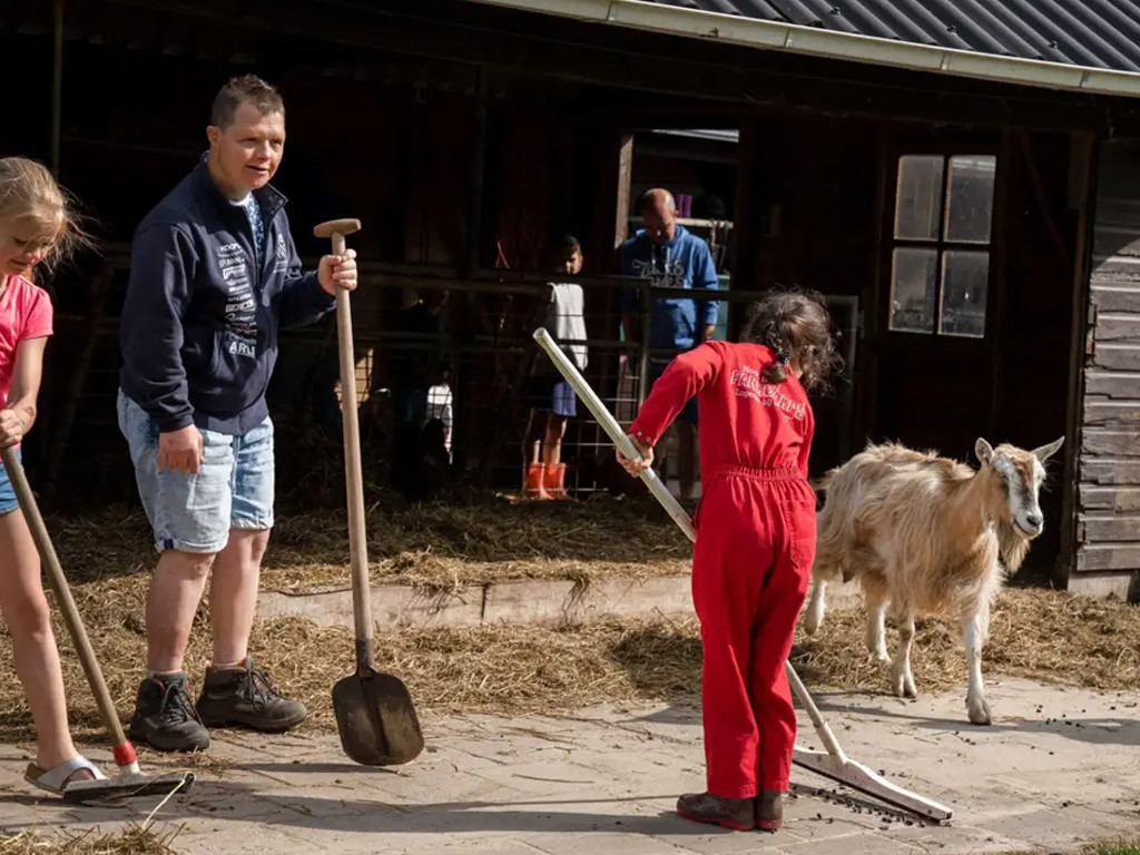 Bauernhof-Campingplatz in Friesland