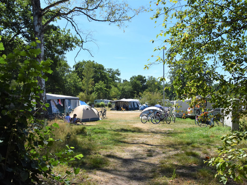 Camping Ommerland 15