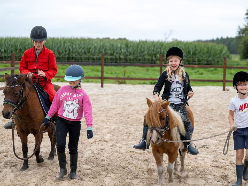 Farmcamps De Bosrand 6