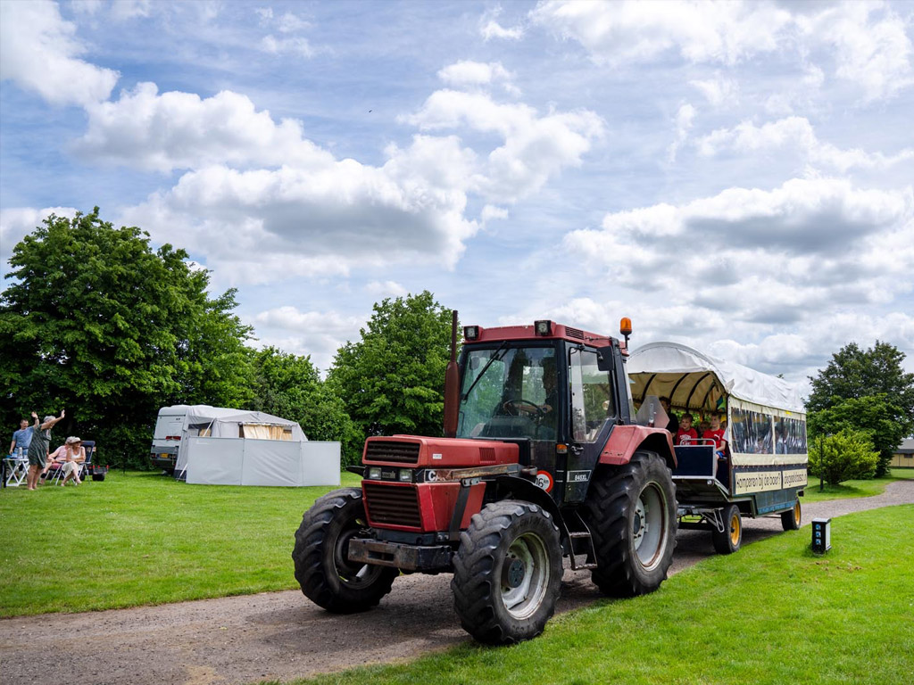 Farmcamps De Geele Bosch 8
