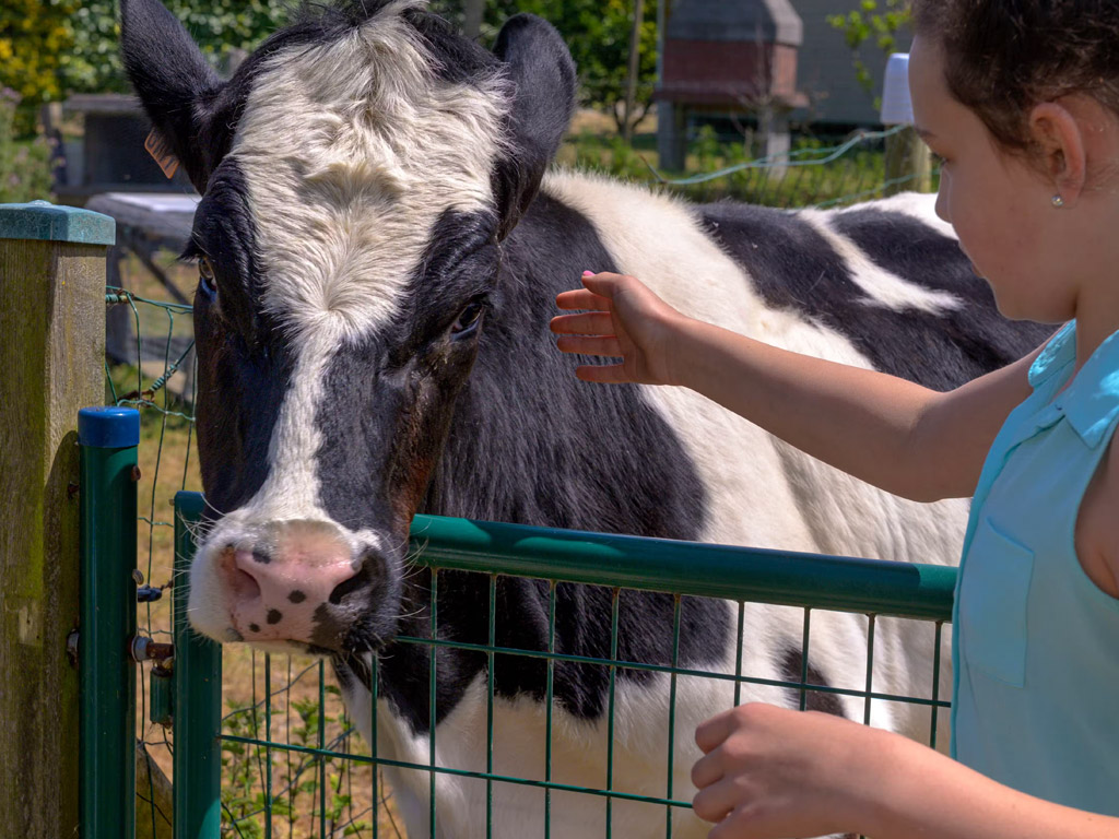 Camping Paradis Utah Beach 7