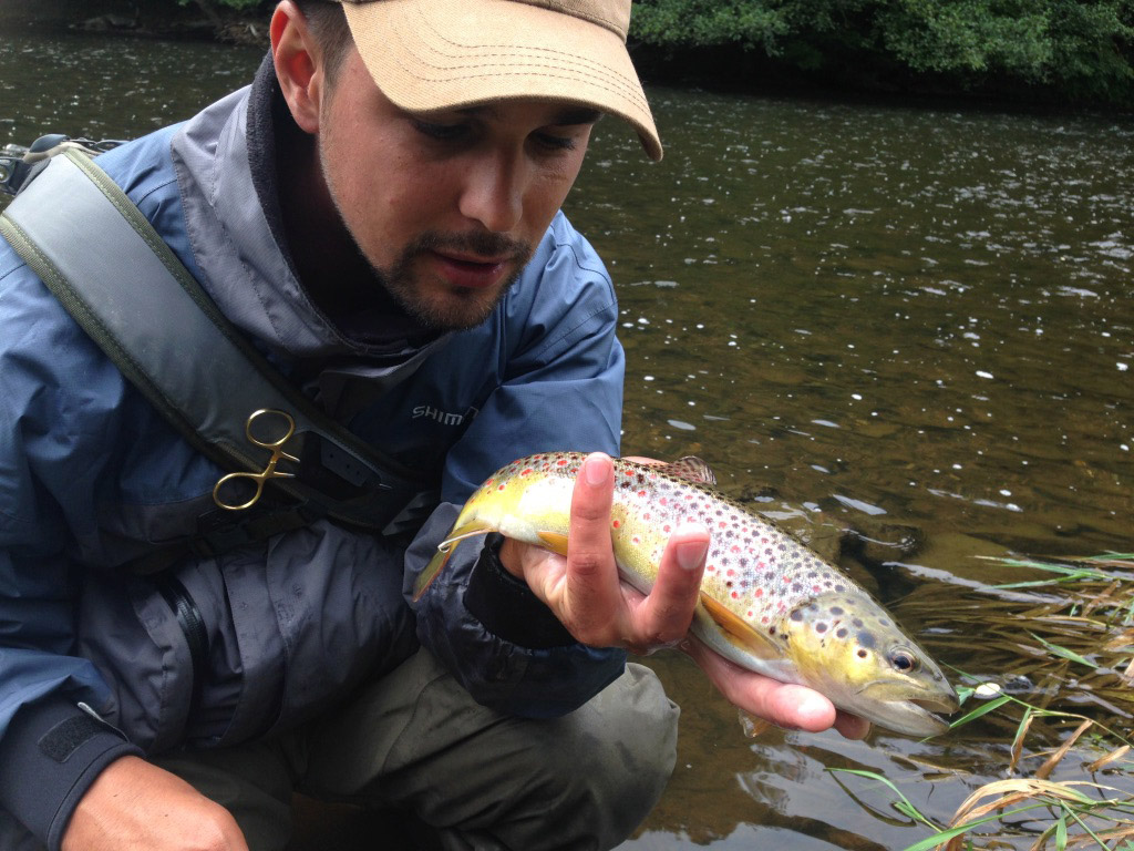 Fliegenfischen auf Forellen in den Ardennen