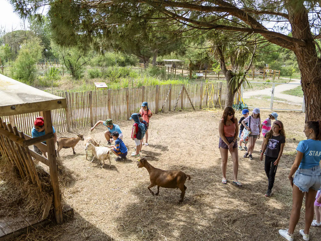 Camping Sunelia Les Sablons 15