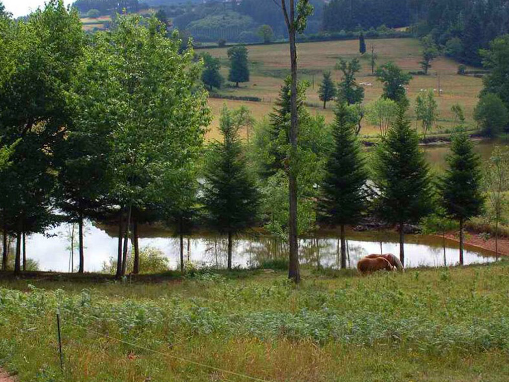 Camping Montrouant 5