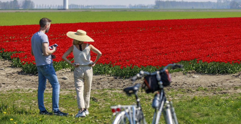 Kamperen Nederland 16 (1) (1) (1)