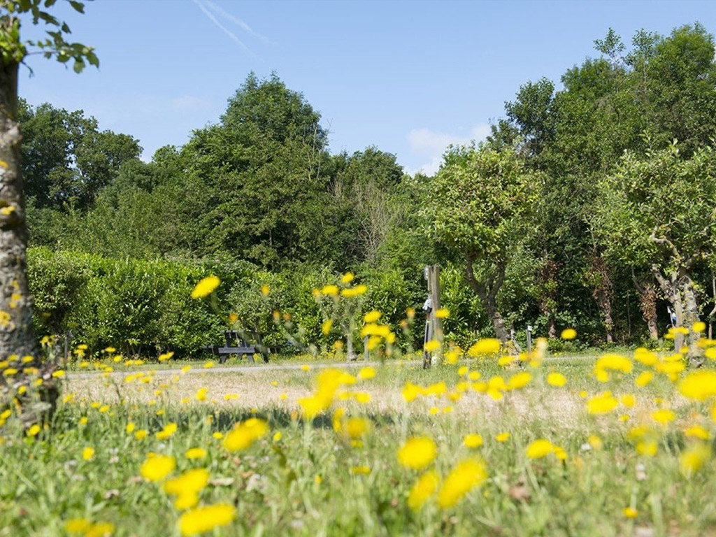 Buitenplaats Den Inkel 9