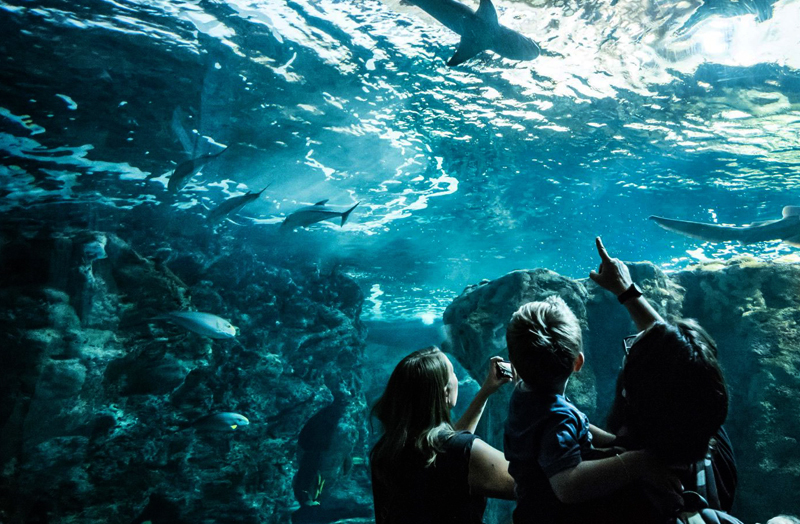 Normandie Kamperen 7