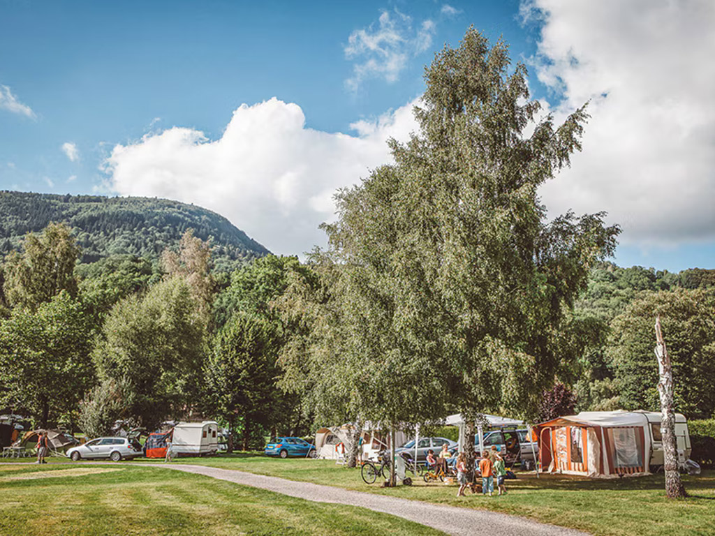 Sunelia Domaine De Champe 8