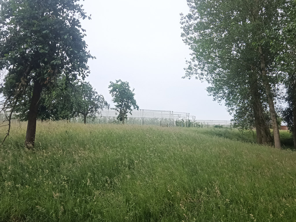 Hoeve Op Den Mierhoop 2