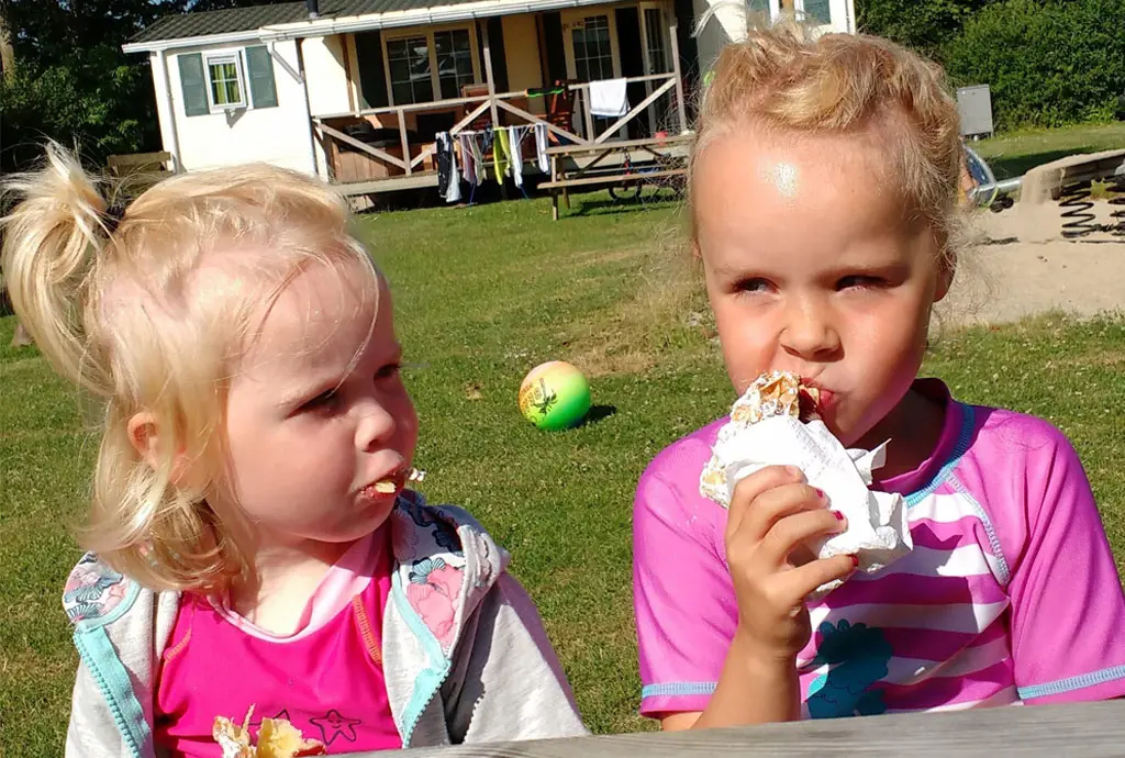 3 Einfache Eintöpfe fürs Camping