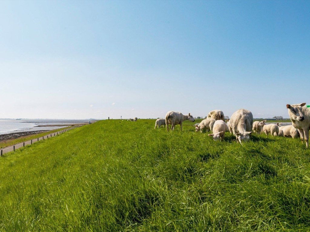 Buitenplaats Den Inkel 8