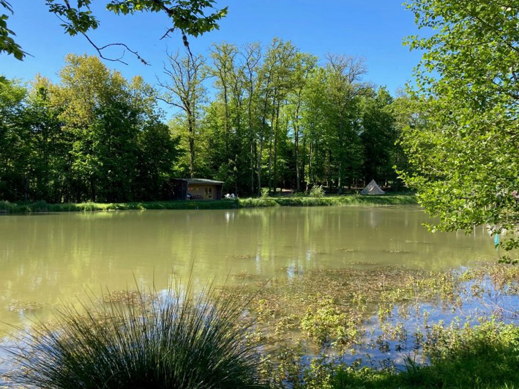 Etangs De Saint Pancras 6