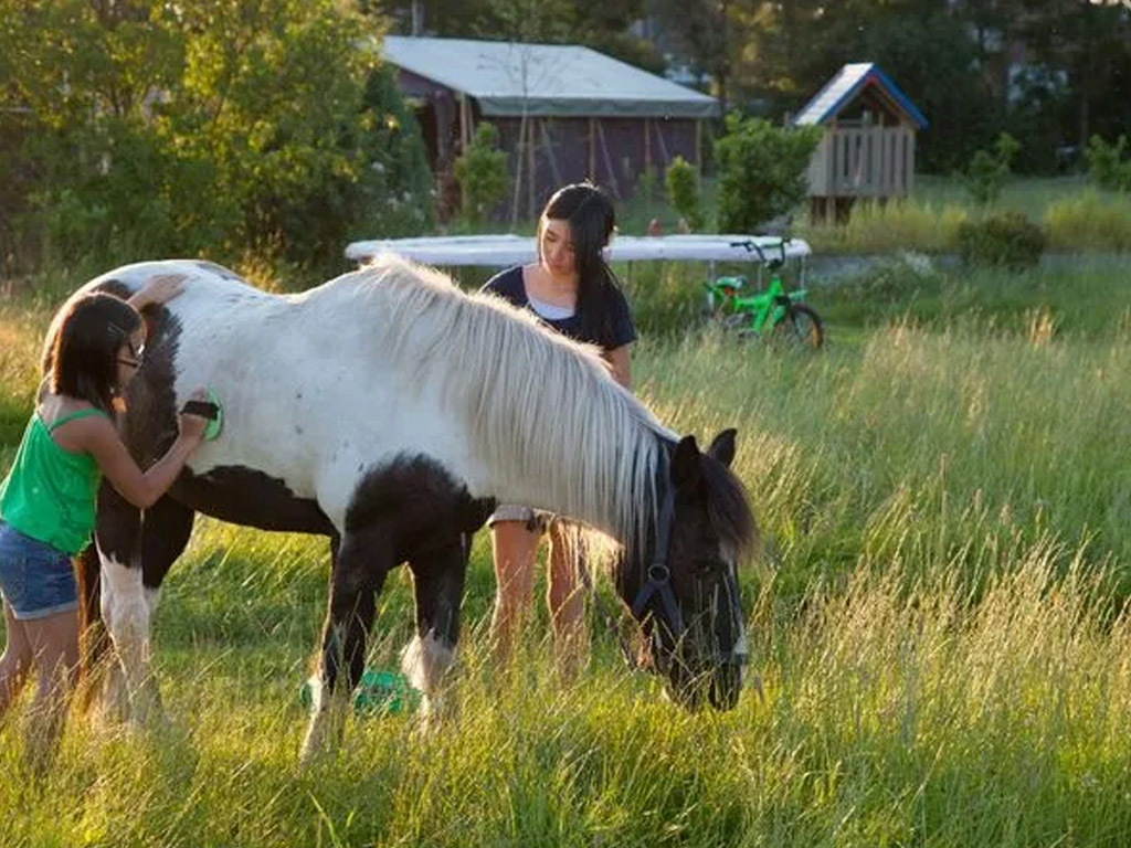Ferme De Rochefort En Ardenne 2