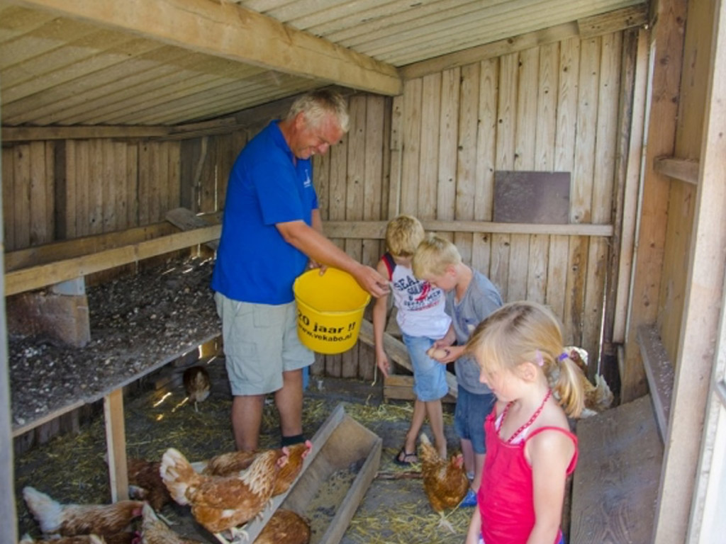 Minicamping Boogaard 6