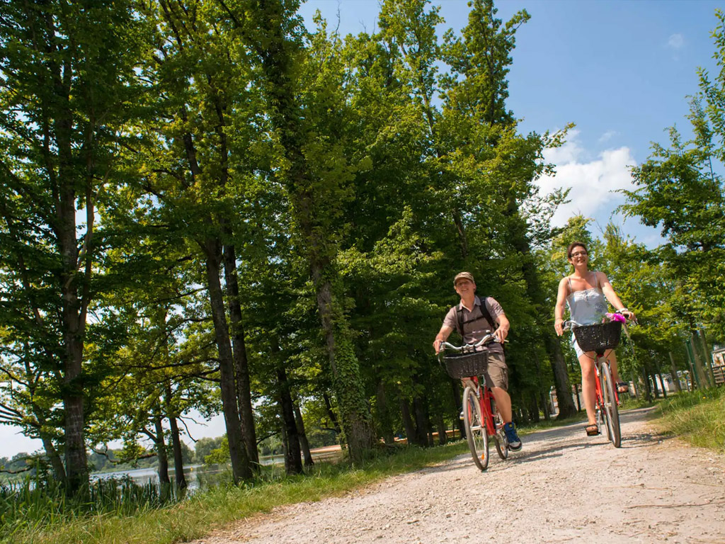 Camping Yelloh! En Champagne 5