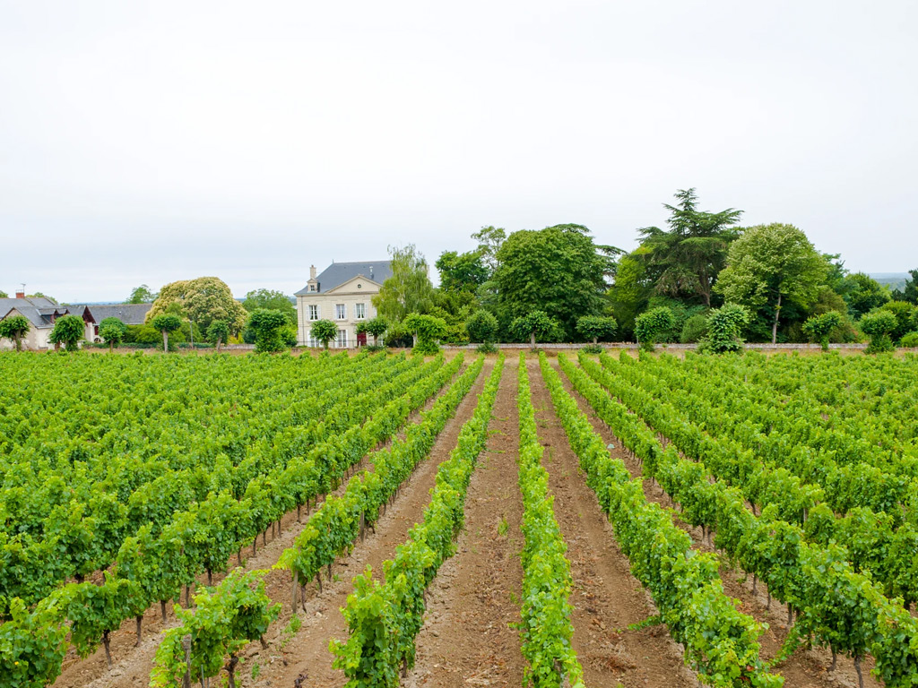 Castel Camping Parc De Fierbois 6