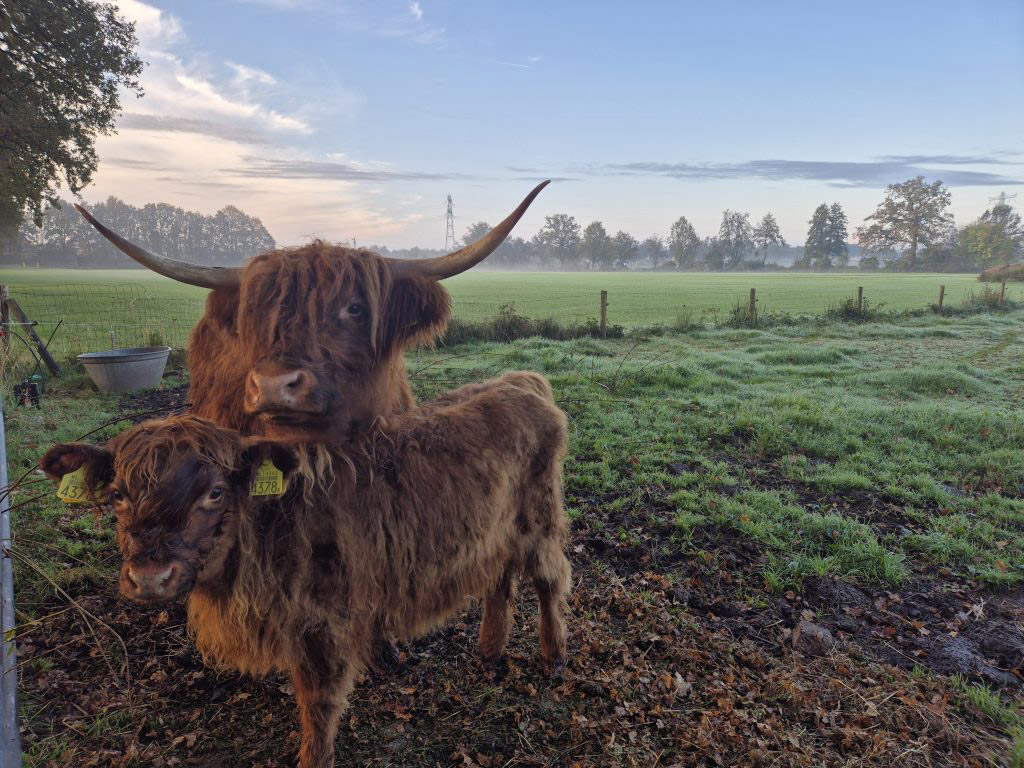 Camping Klein Oudenhorst 1