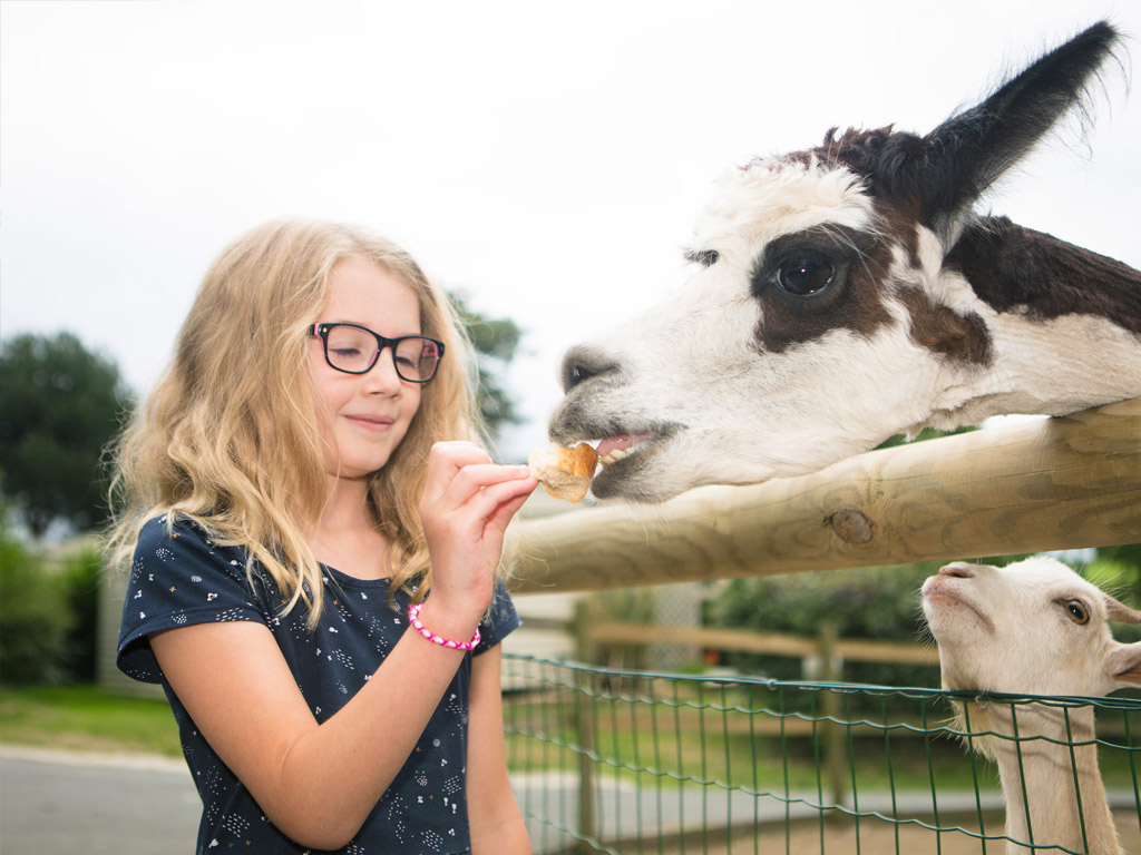 Camping Au Bocage Du Lac 10