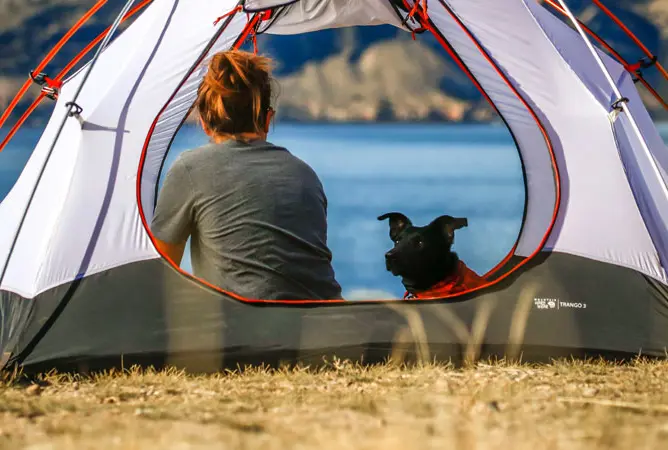 3 Tipps für das Camping mit Ihrem Hund