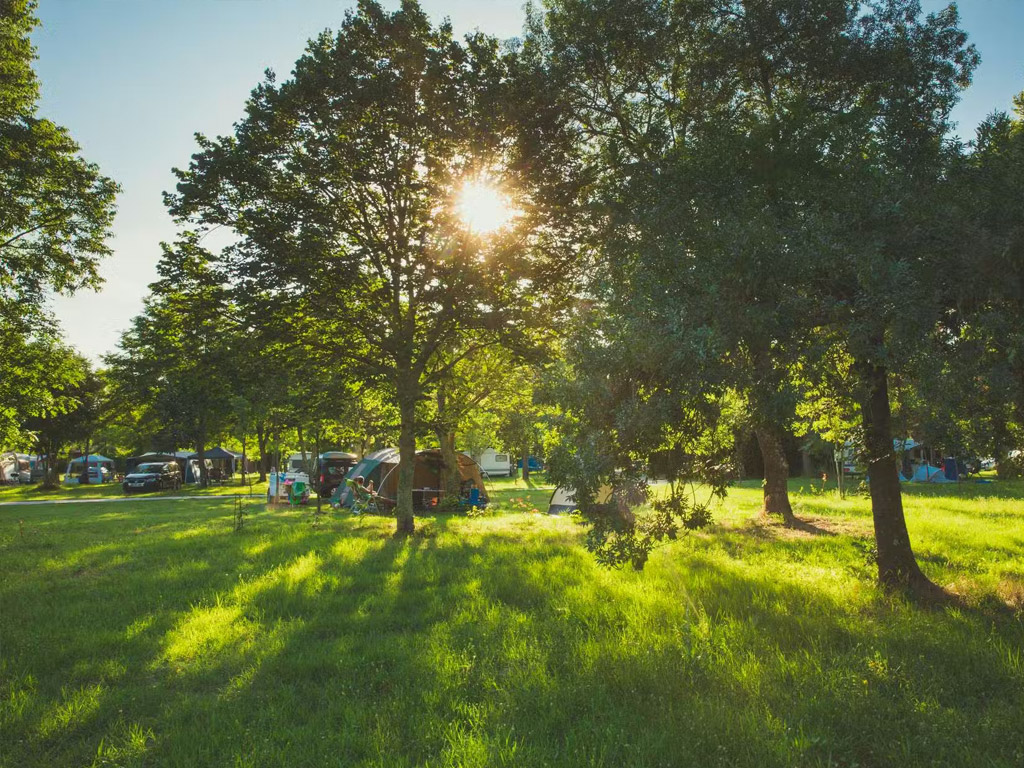 Camping De Peyroche 6