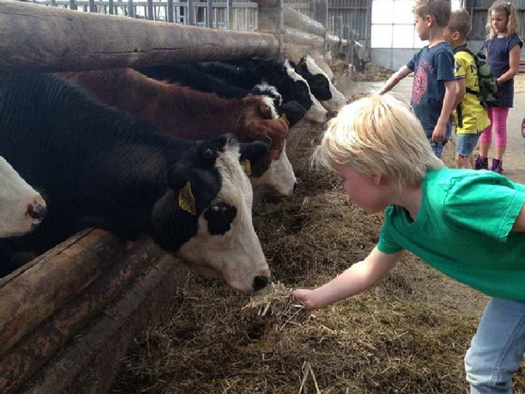 Ein Bauernhof-Campingplatz