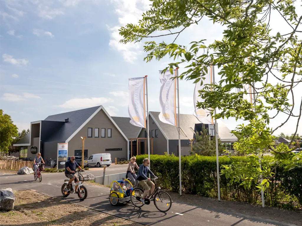 Strandurlaub mit dem Hund