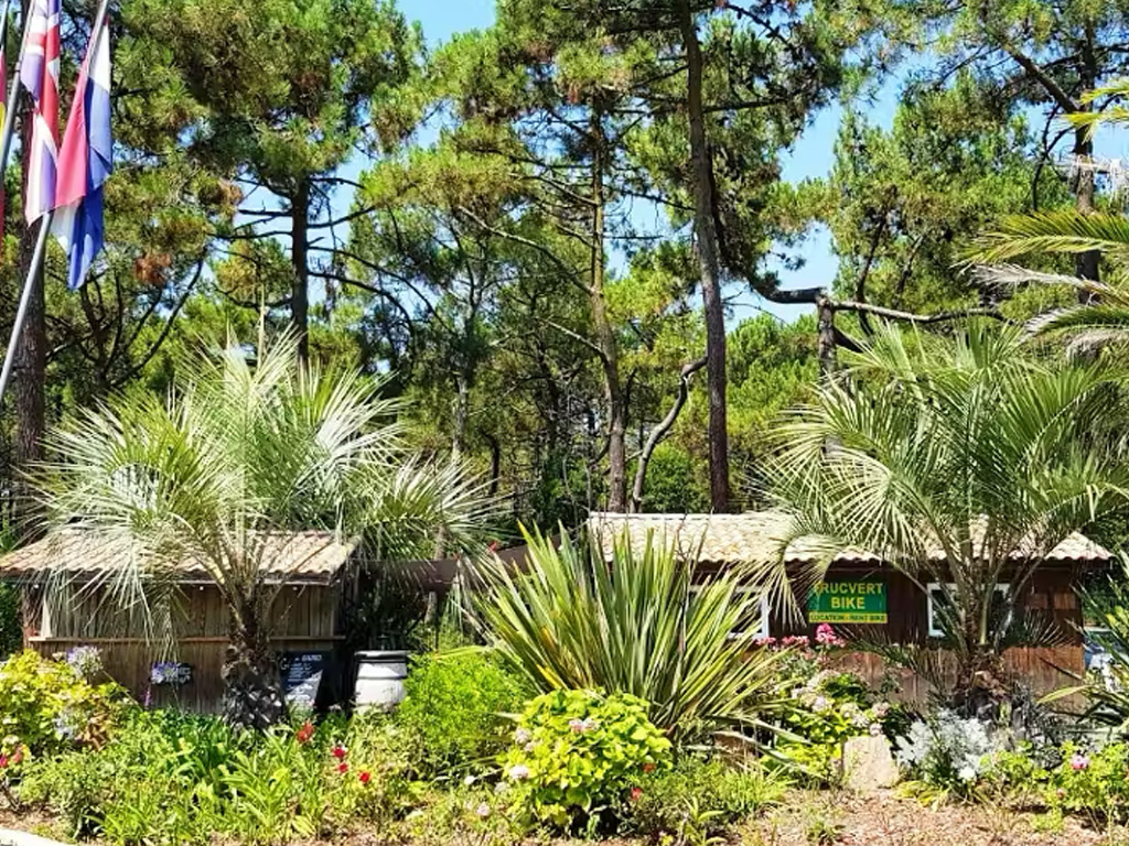 Camping Le Truc Vert 3