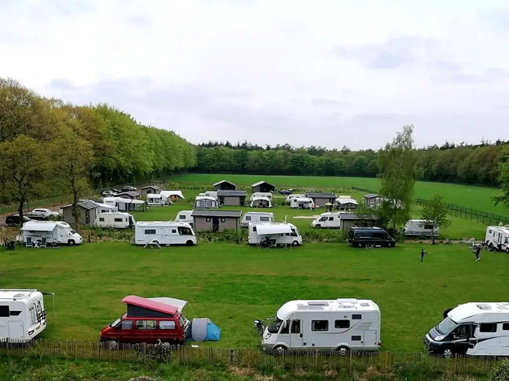 Blick auf eine Tierweide inmitten des Waldes