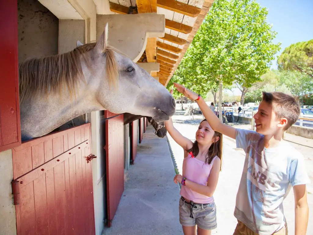 Abende auf diesem Teenager-Campingplatz in Frankreich sind eine Party