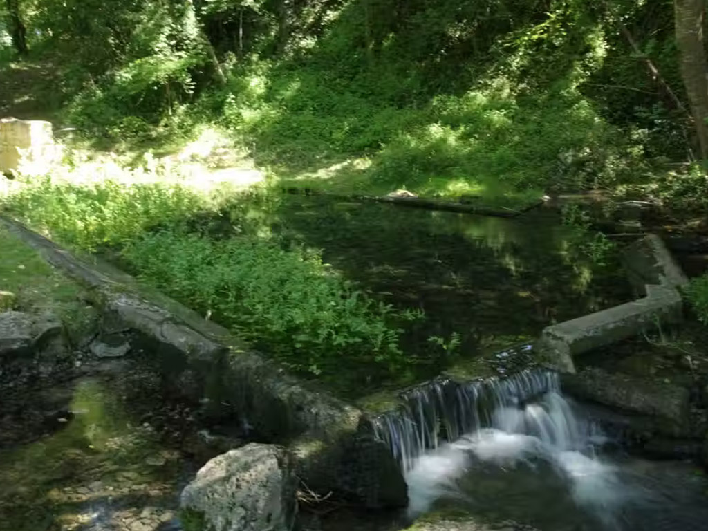 Camping Naturiste Le Couderc 1