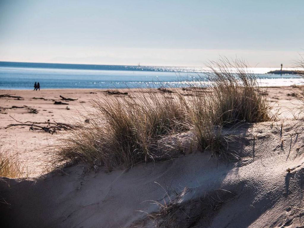 Camping Mas Des Lavandes 3