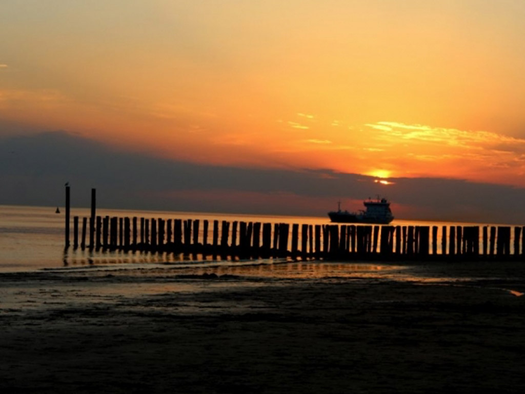 Minicamping Boogaard 10