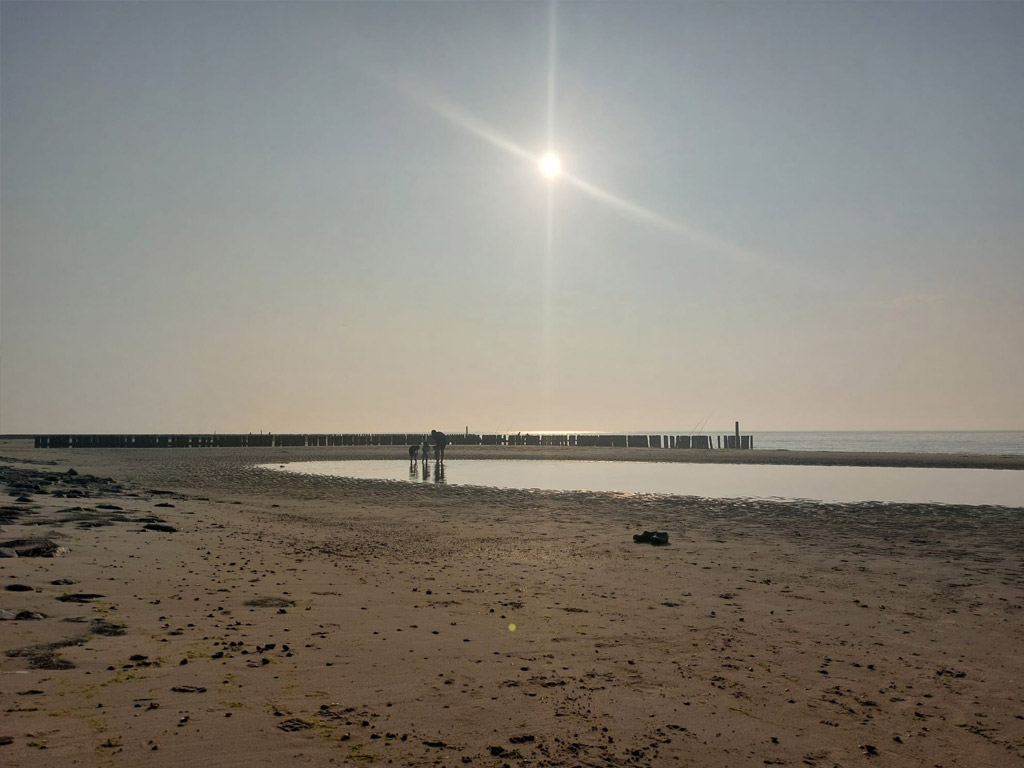 Camping De Westhoek 10