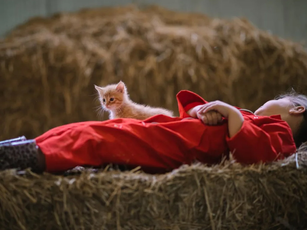 Farmcamps De Smulhoeve 9