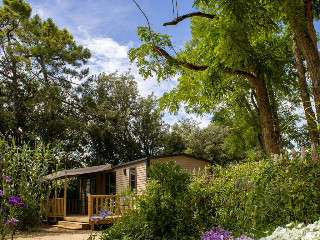 Camping Le Bois Verdon 1