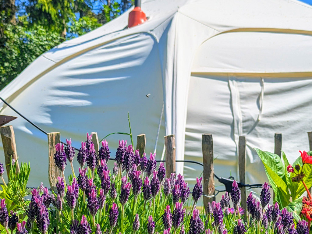 Minicamping Kleintje Zandpol 23