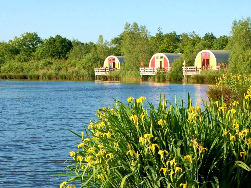 Camping de Watermolen - Die auffälligen Bungalows am Wasser.