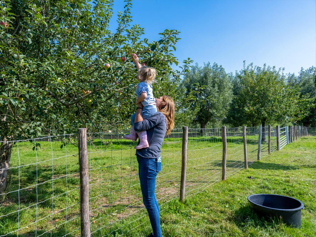 Farmcamps De Buitenhoeve 2