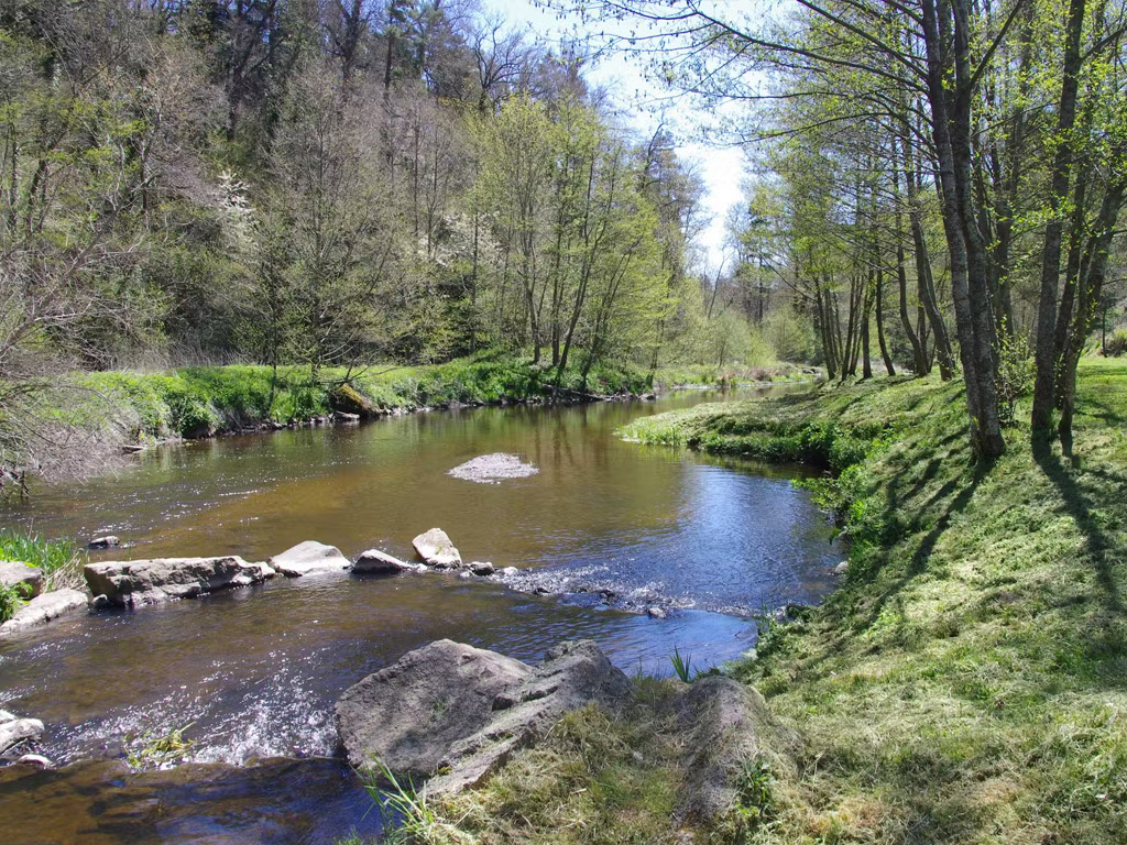 Flower Camping La Rochelambert 10