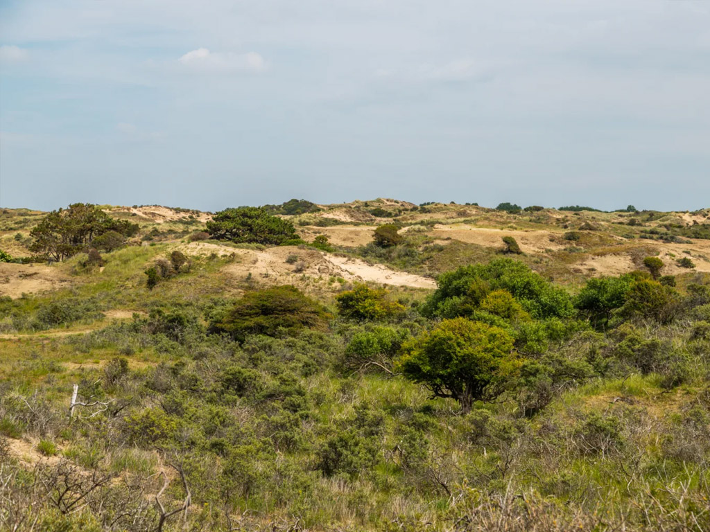 Vakantiepark Europarcs Noordwijkse Duinen 5