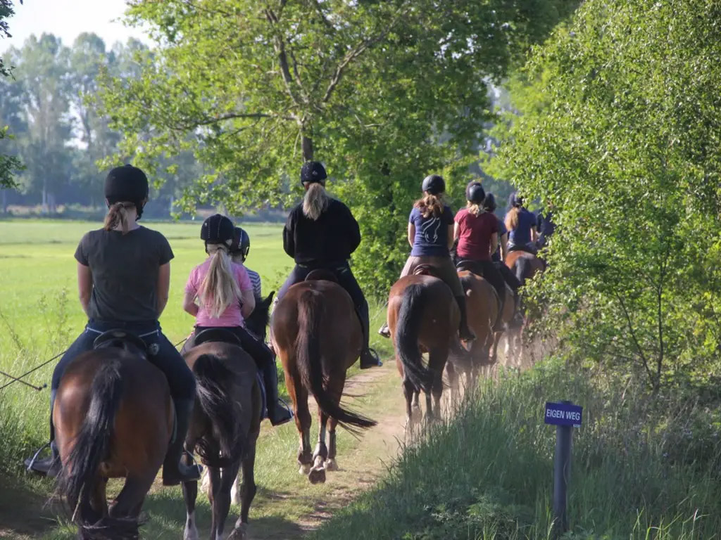 Einführung in das Reiten während Ihres Urlaubs