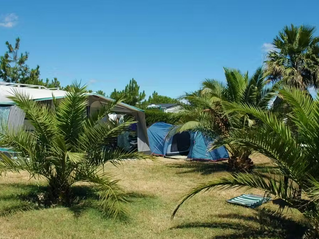 Camping Les Tropiques 8