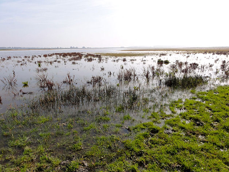 Kamperen Nederland 7
