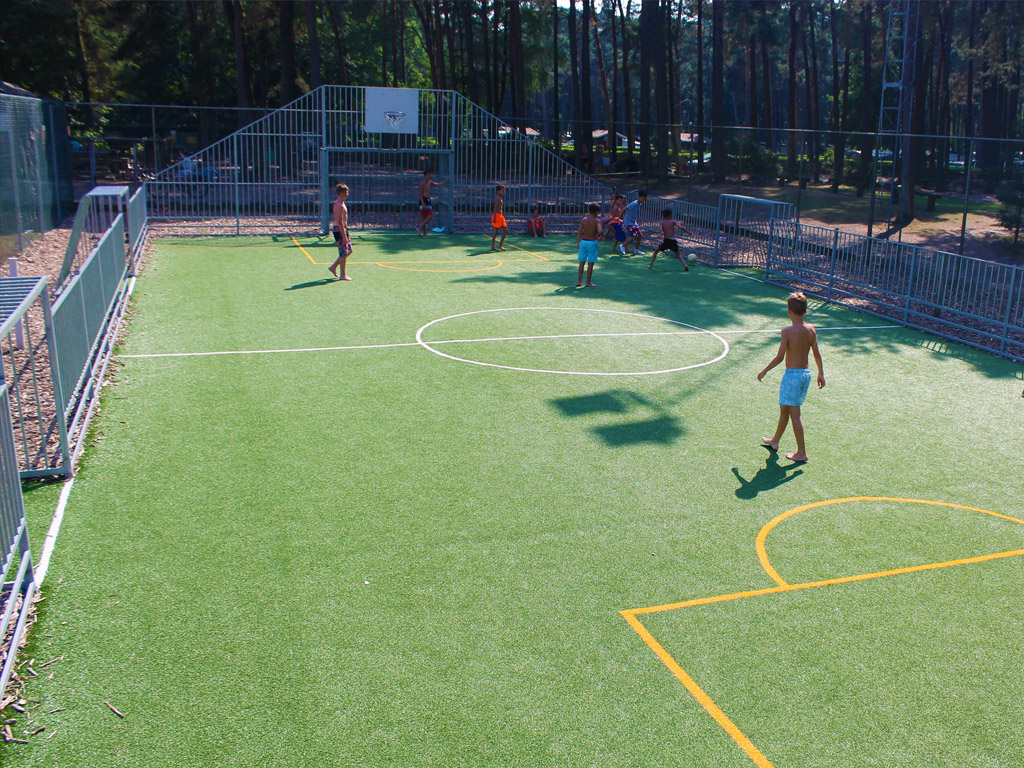 Camping Goolderheide 3